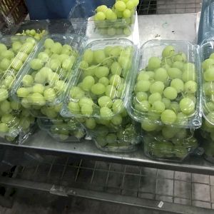 Grapes Sugra-One