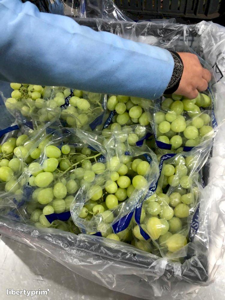 Grapes Superior Seedless® Sugraone Extra Egypt Exporter - iso | Libertyprim