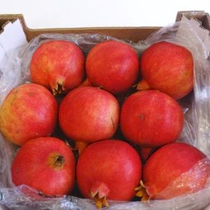 Pomegranate Akko