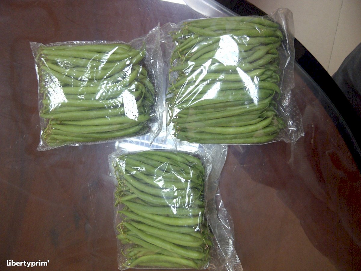 Green Bean Egypt Import & Export - IPSUD | Libertyprim