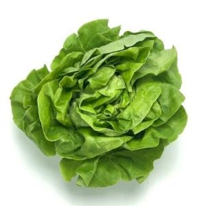 Lettuce 