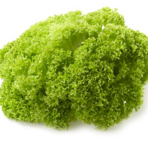 Lettuce Lollo (Green)
