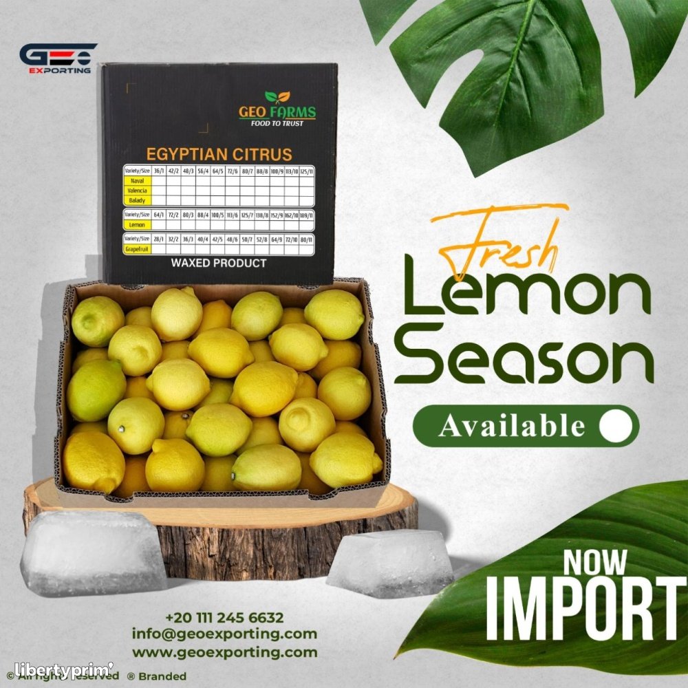 Lemon Eureka Class 1 Egypt Exporter - Geoexporting | Libertyprim