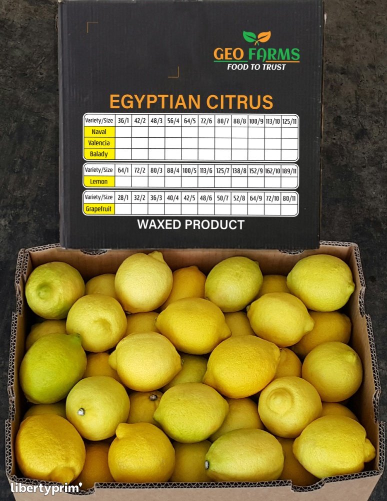 Lemon Eureka Class 1 Egypt Exporter - Geoexporting | Libertyprim