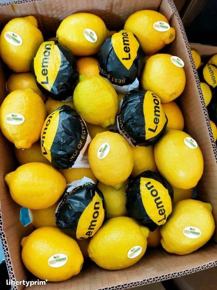 Lemon Eureka Class 1 Egypt Import & Export - GEO EXPORTING | Libertyprim