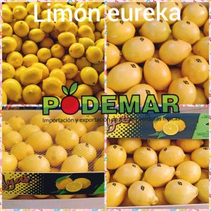 Limón Eureka