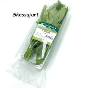 Lovage 