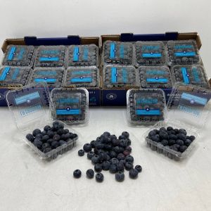 Lowbush Blueberries 