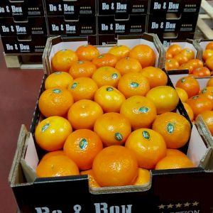 Mandarin Orri