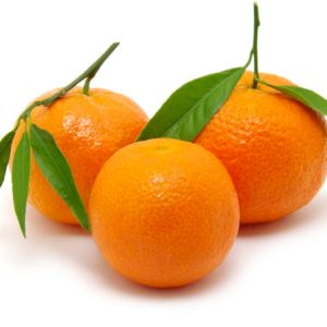 Mandarin Satsuma