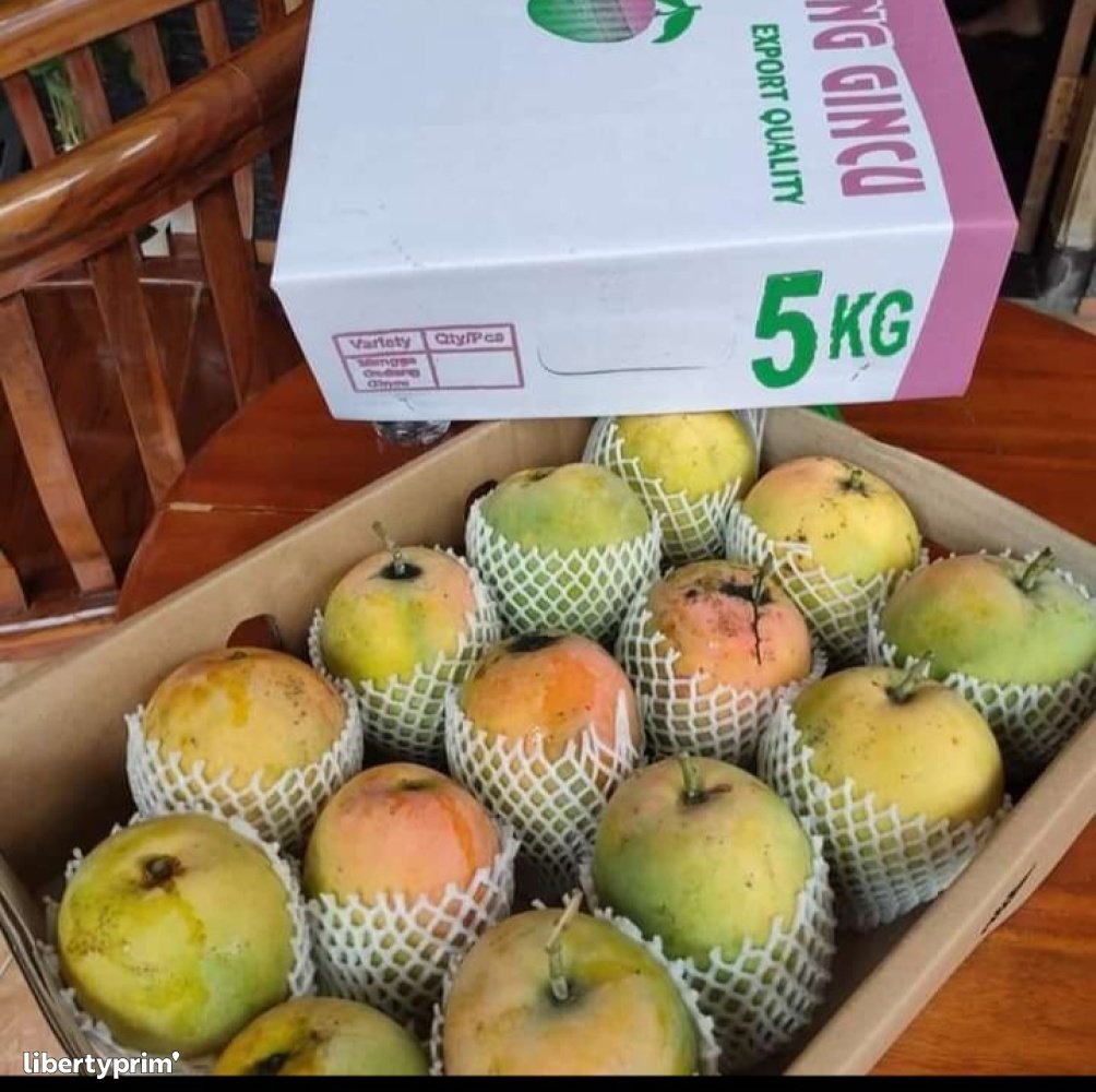 Mango Indonesia Import & Export PT Avian Maju Indonesia Libertyprim