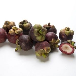 Mangosteen 