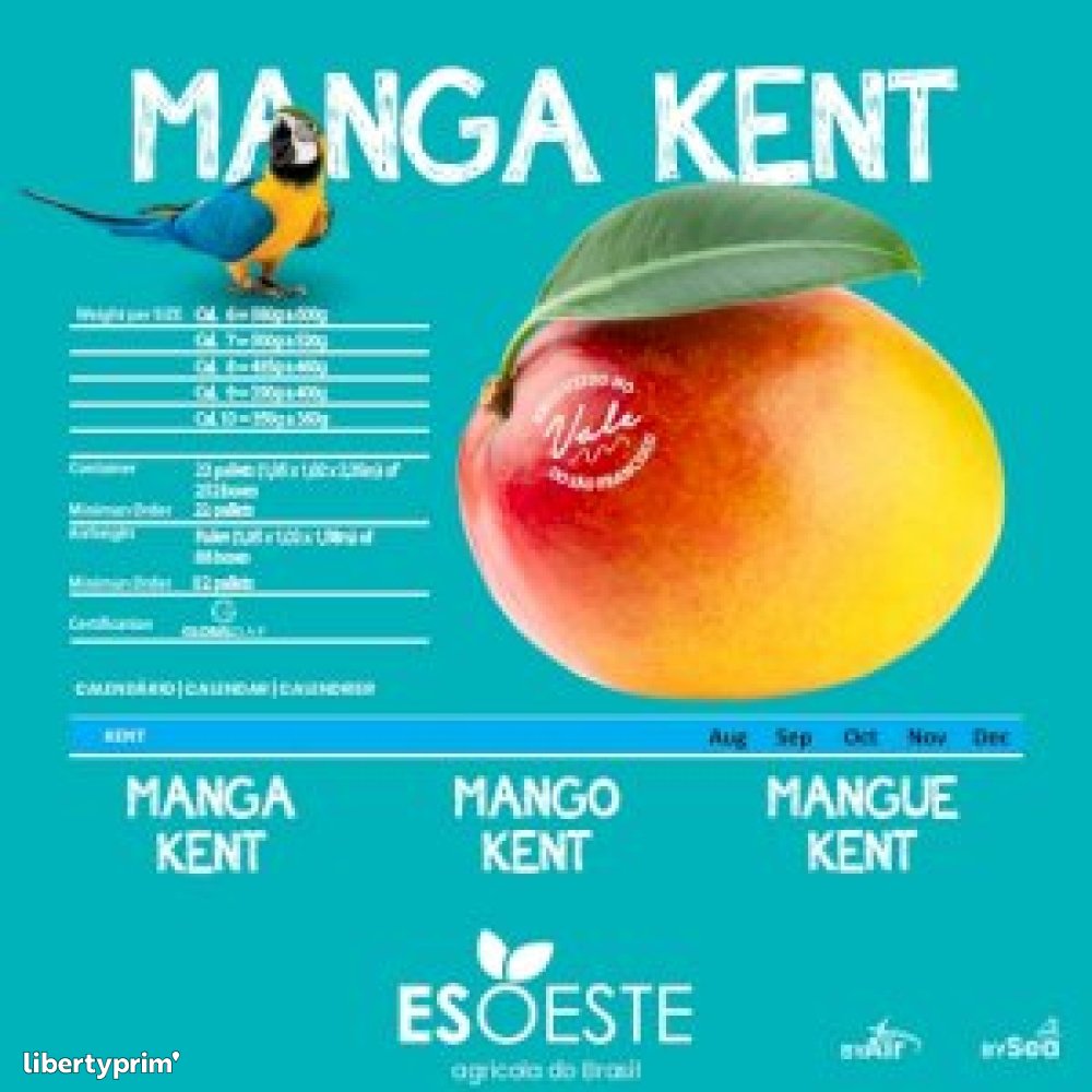 Mango Brazil Import & Export - Esoeste Fruits | Libertyprim