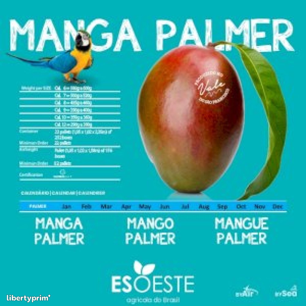 Mango Brazil Import & Export - Esoeste Fruits | Libertyprim
