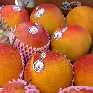 Mango 