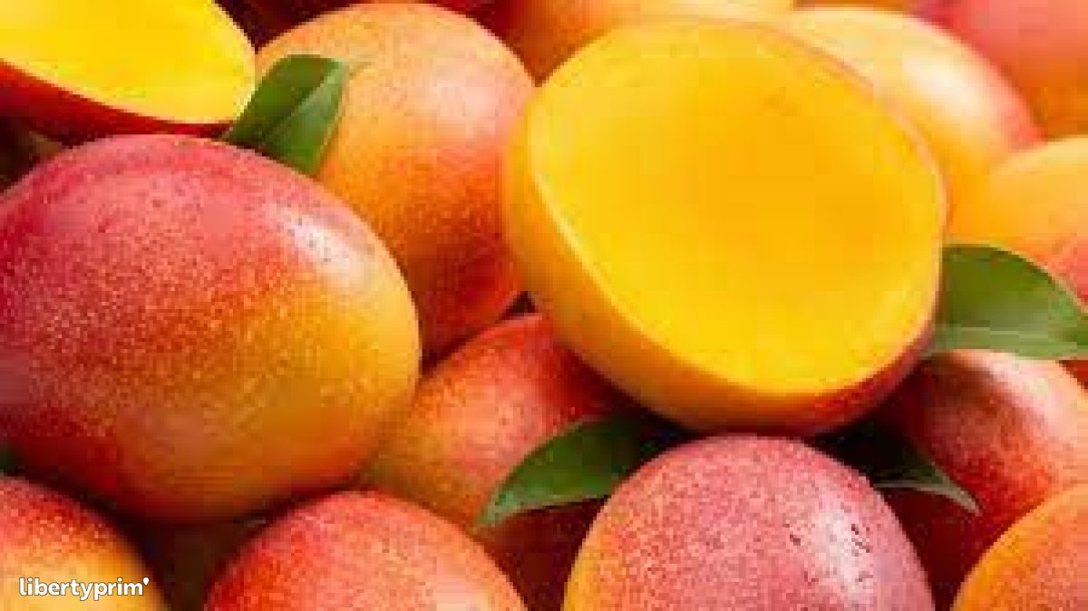 Mango Kent Ivory Coast Import & Export - LARIMAR HOLDING | Libertyprim