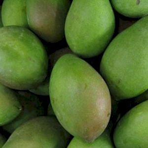 Mango Green