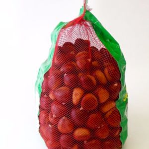 Chestnut 
