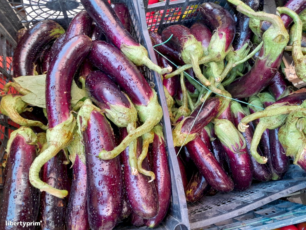 Eggplant Long Purple Extra Italy Conventional Grower - Sfiziosi | Libertyprim