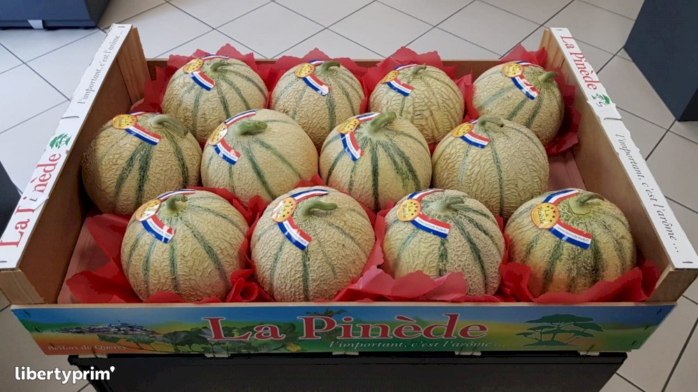 Melon Extra France Import & Export LA PINEDE Libertyprim