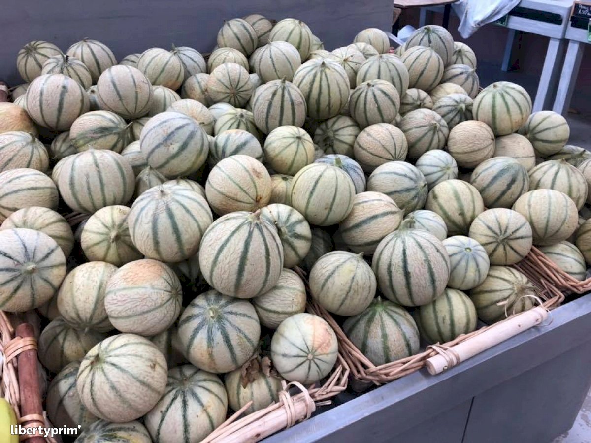 All Offers Melon Libertyprim