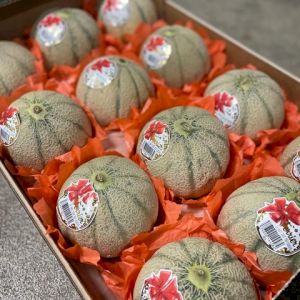 Melon Yellow Charentais
