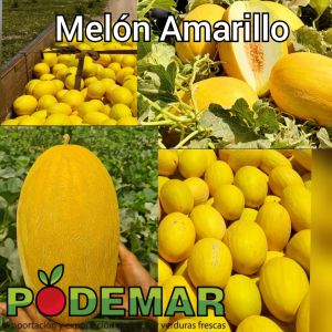 Melon Yellow