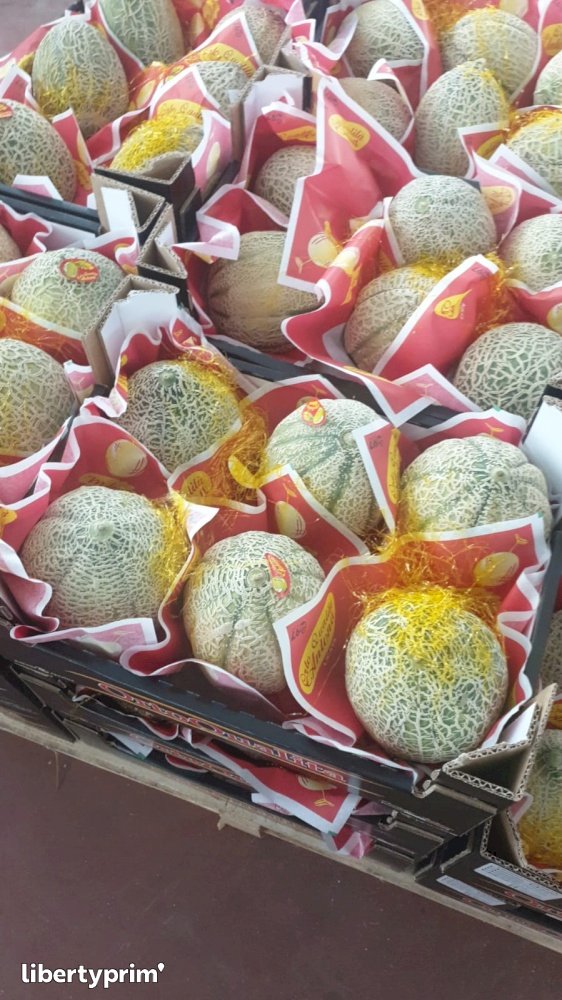 Melón Francés Productor Convencional - Peruzzo | Libertyprim
