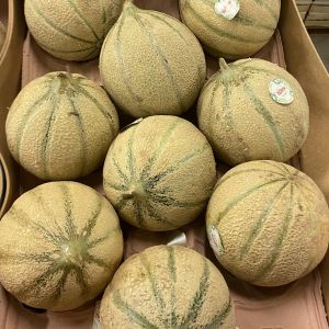 Melon Charentais Jaune