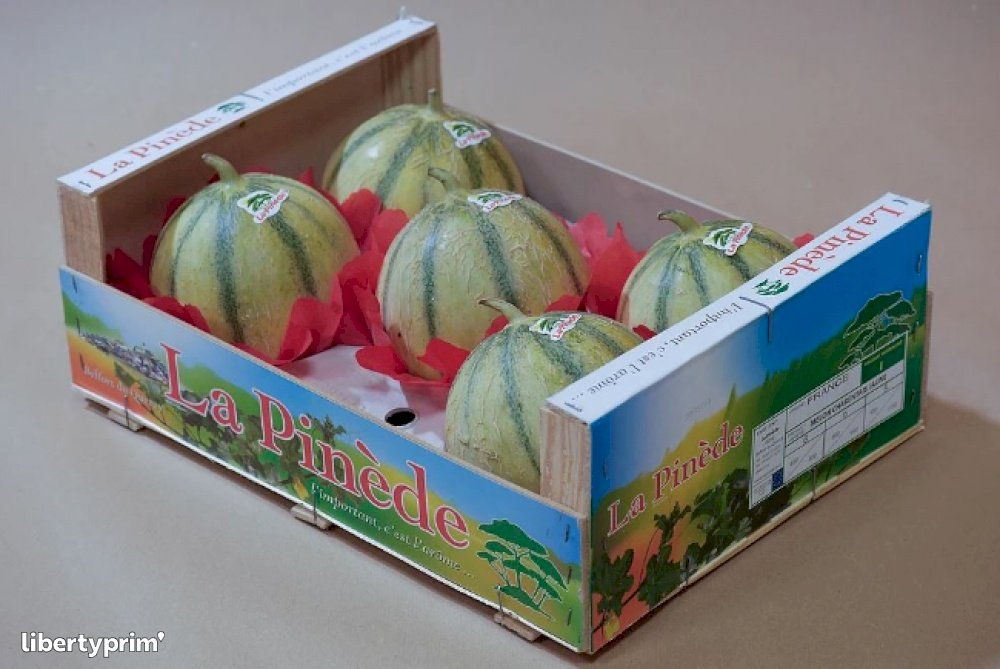 Melon Charentais Jaune France Import Export LA PINEDE Libertyprim