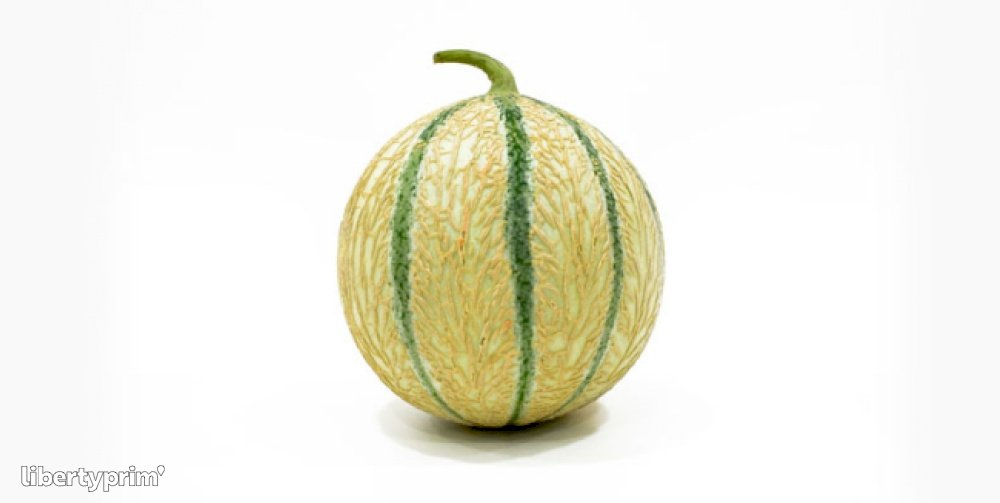 Melon Charentais (Espagne - France-Italie) - Vracolibri