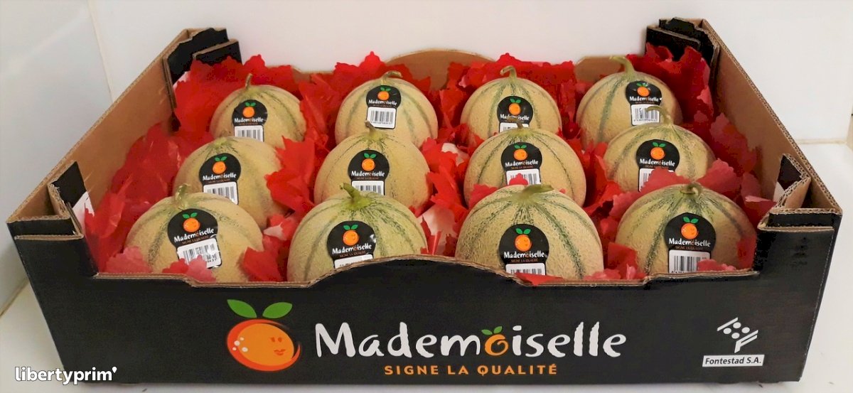 Melon Green Charentais Conventional Grower - Fontestad | Libertyprim