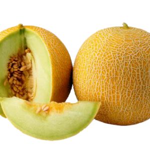 Melon Galia