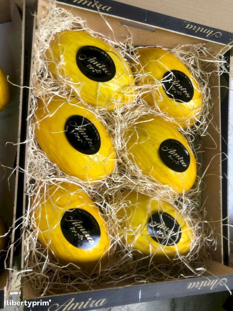 Melón Amarillo Categoría 1 Marruecos Productor Convencional - Peruzzo | Libertyprim