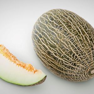 Melone Piel De Sapo