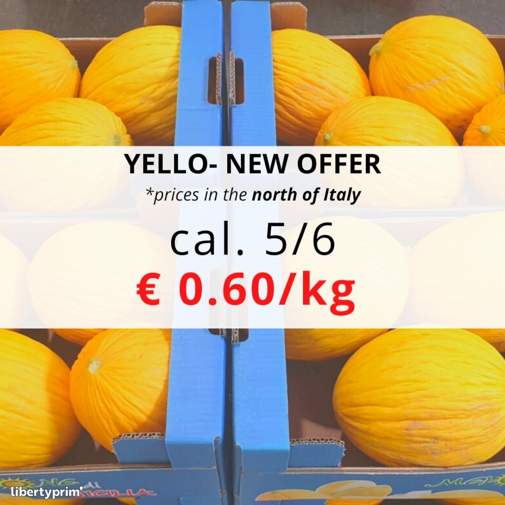 Melon Yellow Class 1 Italy Sales Office - FLORIDIA TRADING | Libertyprim