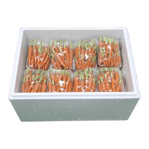 Mini Carrot 