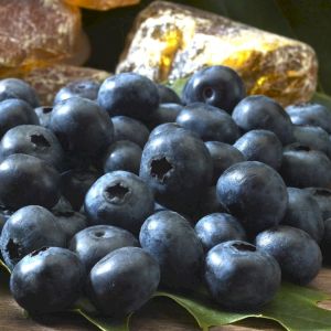 Blueberry Black
