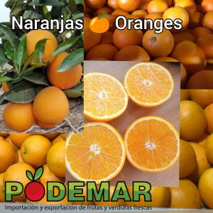 Naranja Maroc-late