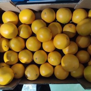 Naranja Naveline