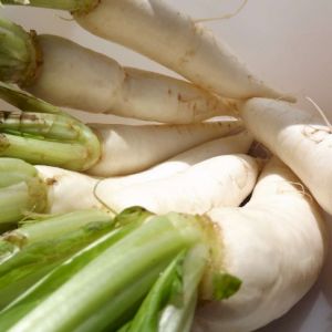 Turnip Long White