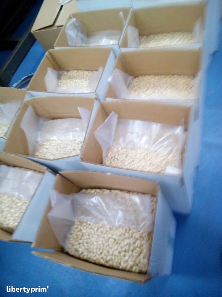 Cashew Nut Extra Benin Trader & Broker - ANGIUM COMMODITY | Libertyprim