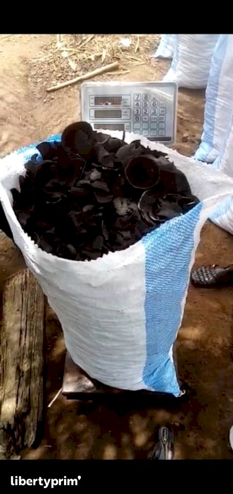 Coconut Pieces Class 1 Ivory Coast Exporter - adams | Libertyprim