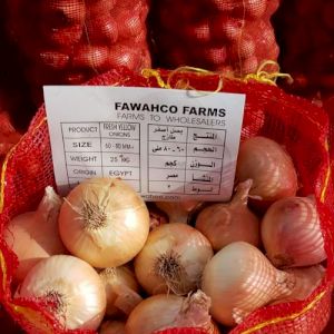 Onion Yellow