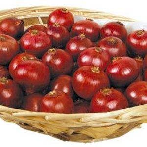 Onion Red