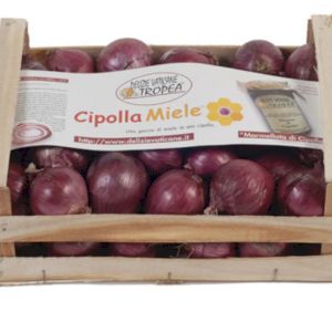 Onion Red