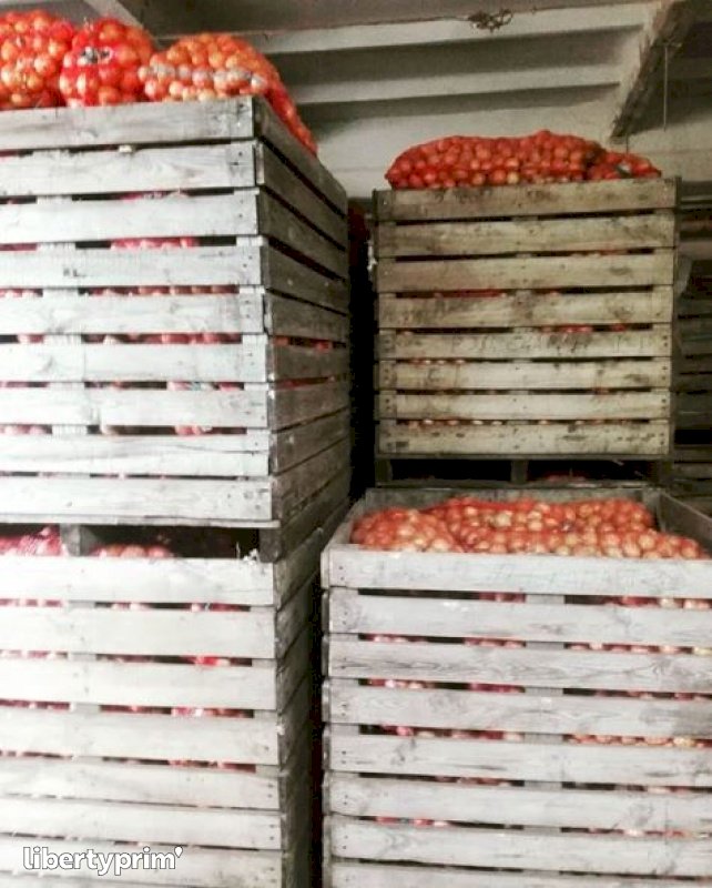 Кракен Onion  Ногинск