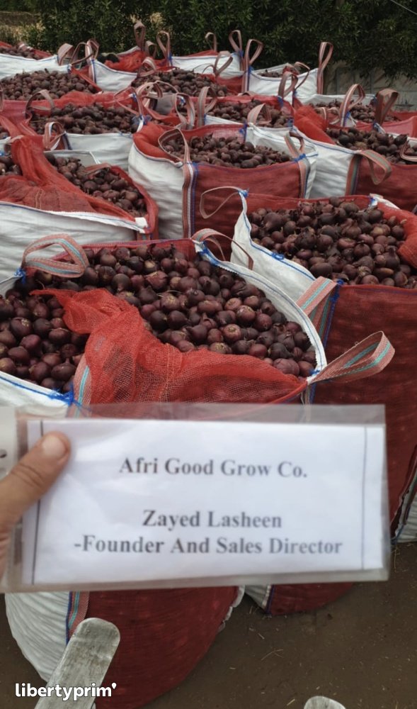 India has started importing Red Onions from Egypt – Fruit Link Fresh Produce