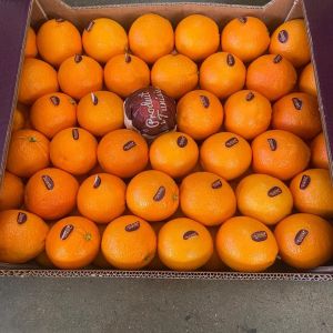 Naranja Maltesa
