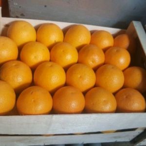 Arancione Maroc-late